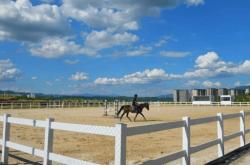 两江国际马术赛事中心正式开馆