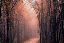 深圳20名选手出征全国职业技能大赛