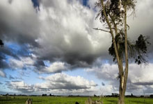 LEC 曙光乍现！G2 双杀 LPL 战队，携手 FLY 领跑欧洲赛区