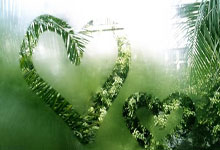 “浙BA”城市争霸赛揭幕战打响