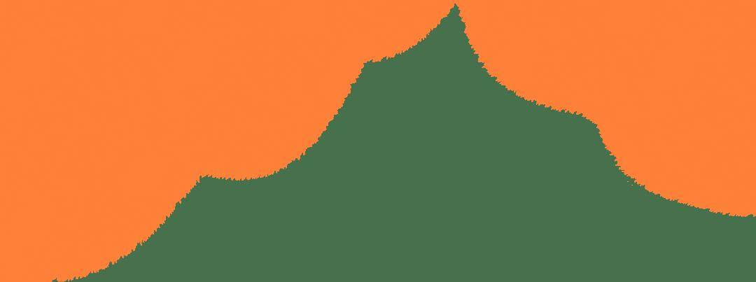 黄金秋日，解锁猛兽“名场面”！