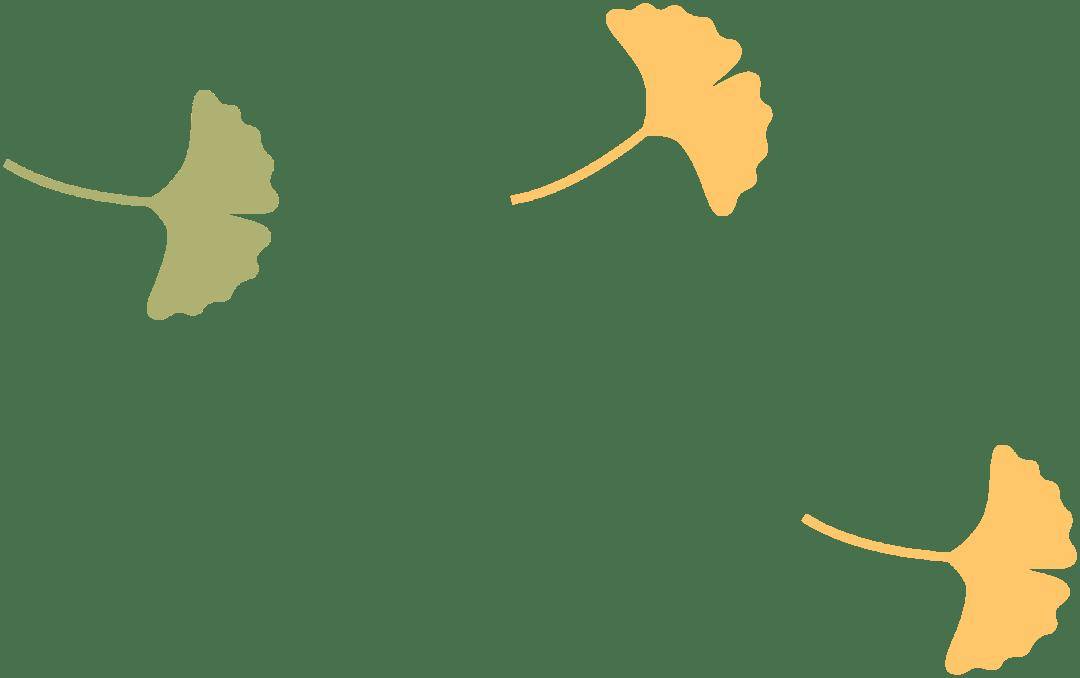 黄金秋日，解锁猛兽“名场面”！