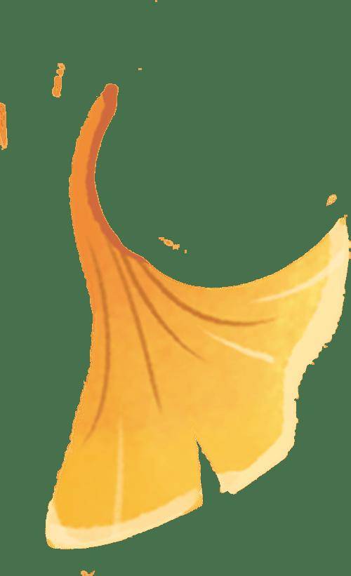 黄金秋日，解锁猛兽“名场面”！