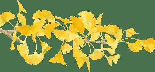 黄金秋日，解锁猛兽“名场面”！