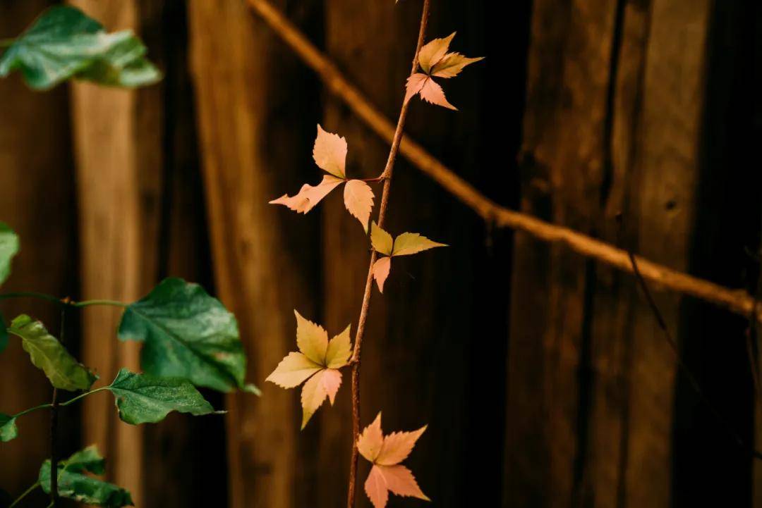 亮点「十月·金秋」精彩活动集锦来啦~