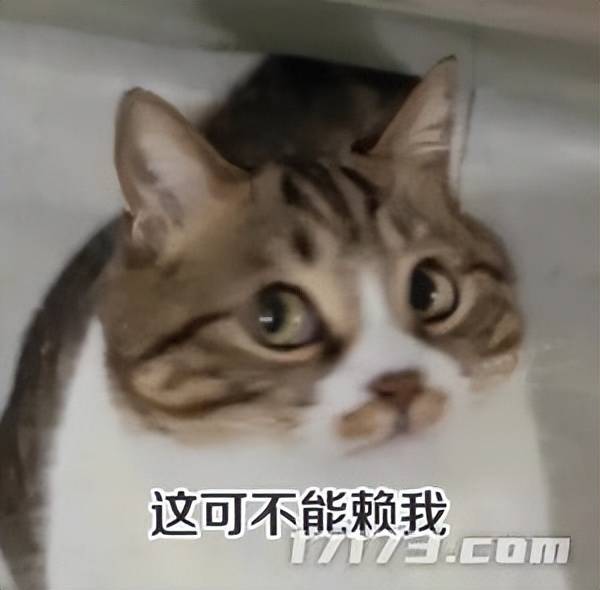 拳头腾讯力排众议推出的全新操作模式，真能拯救LOL吗？